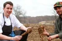 Savor the Source: 5 Essential Farm-to-Table Restaurants in the Hudson Valley