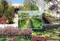 Grow Your Own: Brooklyn’s 7 Best Plant Shops