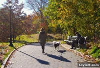 Brooklyn Debate Bathrooms Versus Dog Runs