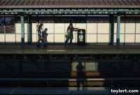 Bed Stuy Welcomes B.D. Wong Brooklyn Heights Purrs for New Cat Cafe