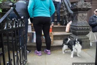 WeWork Breaks Ground at Brooklyn Navy Yard Site