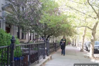 Museum Funding Crisis Meets Pigeon Uproar