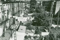 How a Maryland Senator Named Carroll Gardens