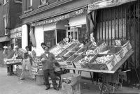 Brooklyn’s 70s Gowanus: Where Horses Roamed and Stickball Was King