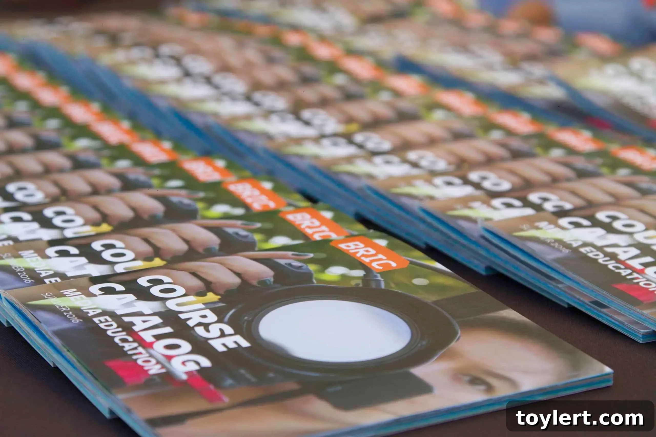 featured 238230 scaled