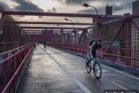 Brooklyn Rental Listings Up Rents Hold Steady