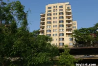 Unobstructed Views: A Modernist Gaze Over Brooklyn Heights
