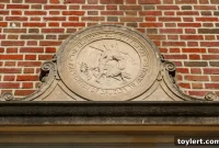 Gowanus Animal Haven: Brooklyn’s Lifeline for Strays