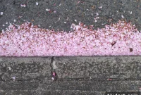 Gutter Maintenance: Your Best Defense Against a Summons