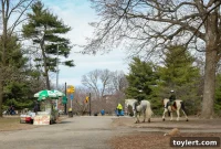 Con Ed Land Sale Fuels Williamsburg Waterfront Development Prospects