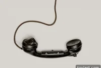 Curbing Spurious 311 Complaints