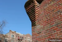 Parks and Recreation for Palates: Amy Poehler’s Wine Shop Uncorks in Park Slope