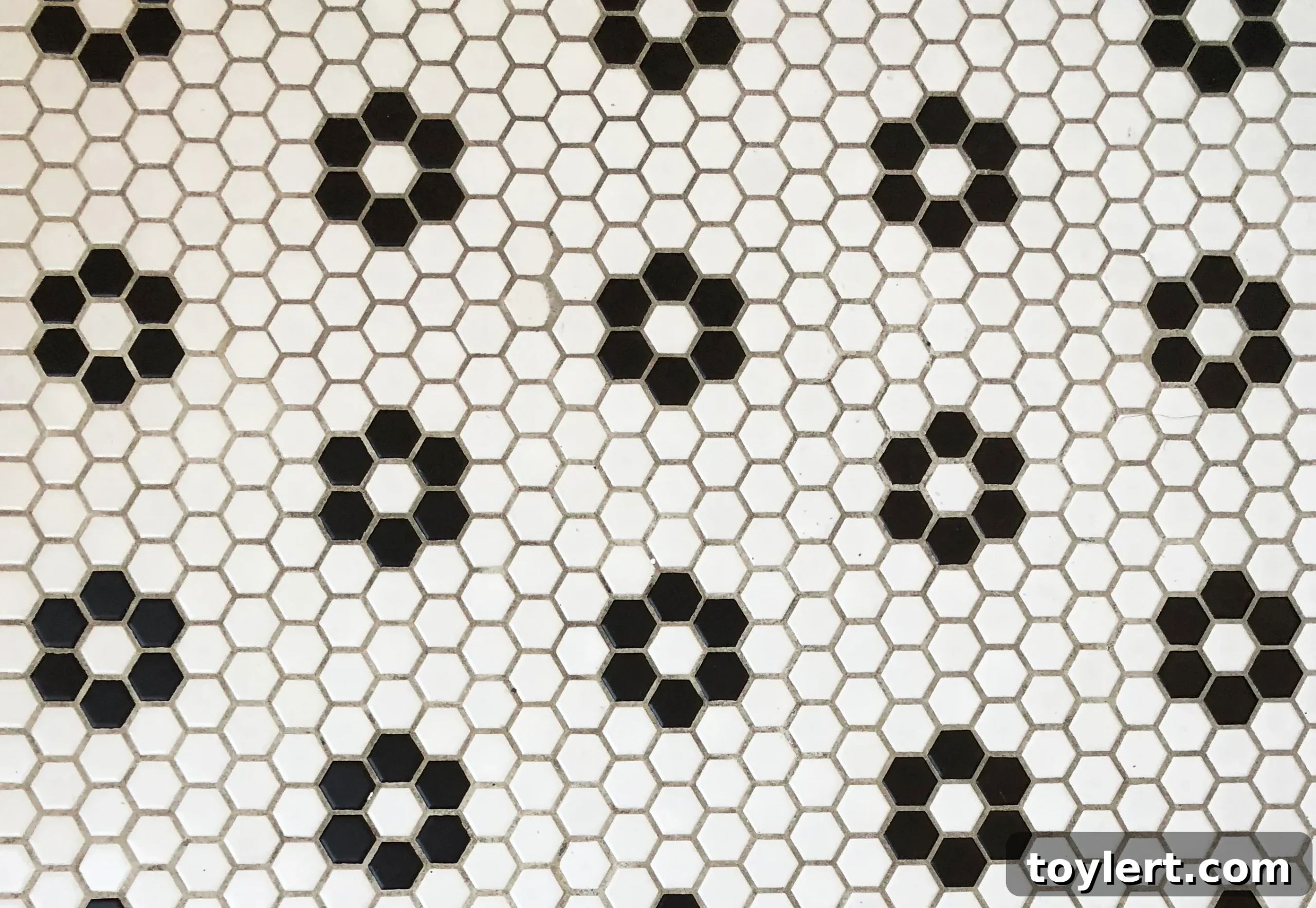 featured 346912 scaled