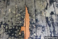 Eco-Friendly Wide Plank Flooring for Your Renovation Project