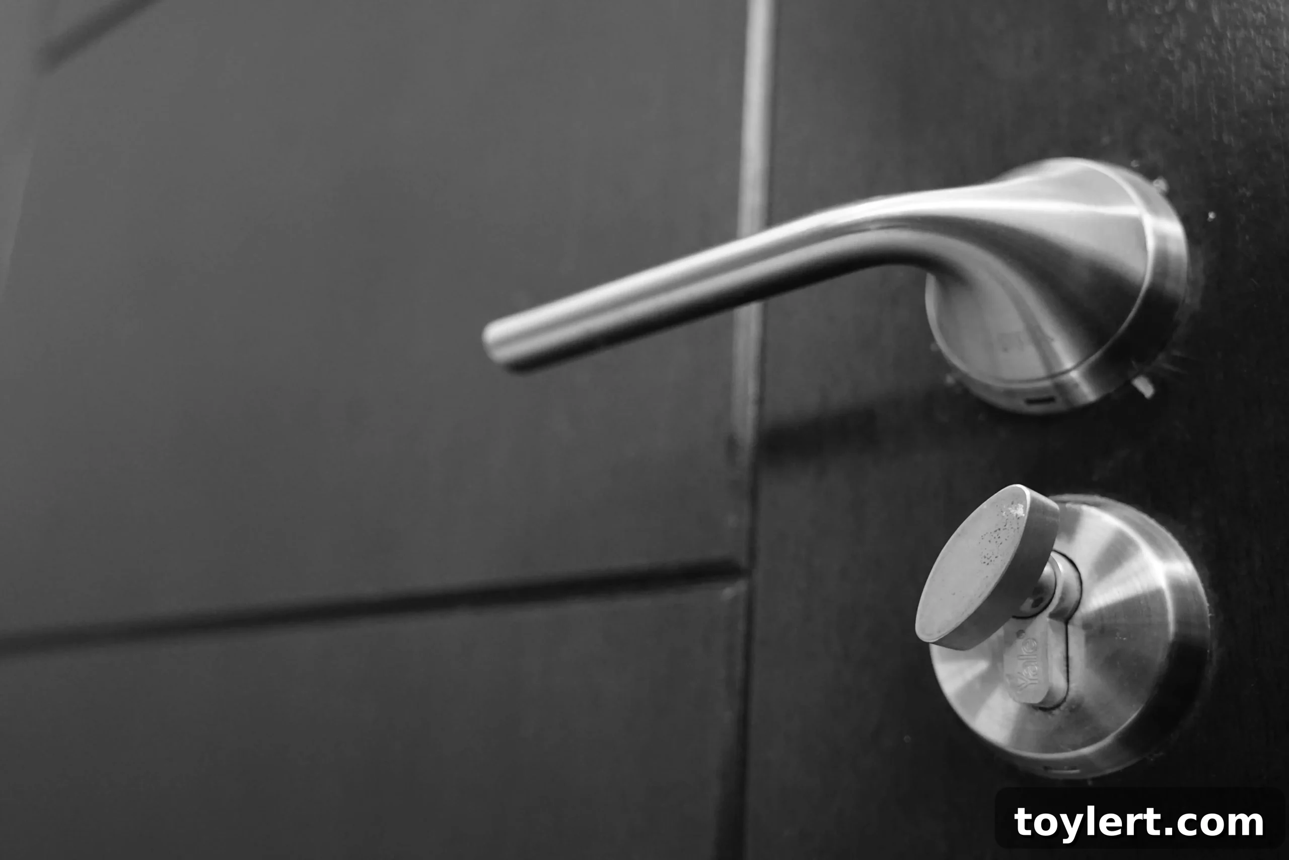 featured 351640 scaled