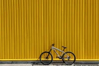 Transforming Utility Eyesores: Creative Camouflage Ideas