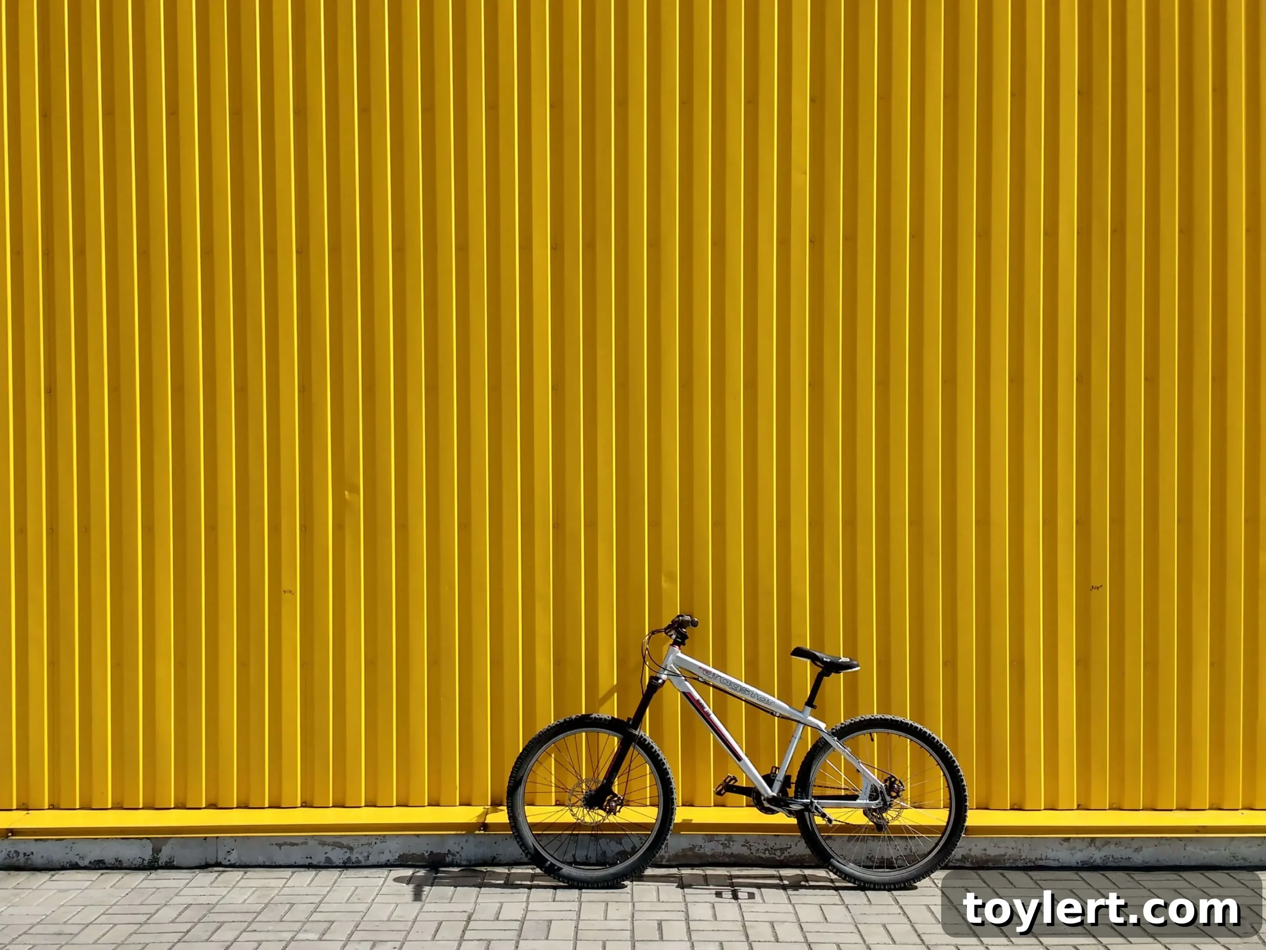 featured 352188 scaled