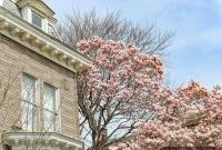 MTA Explores Utica Avenue Subway Extension