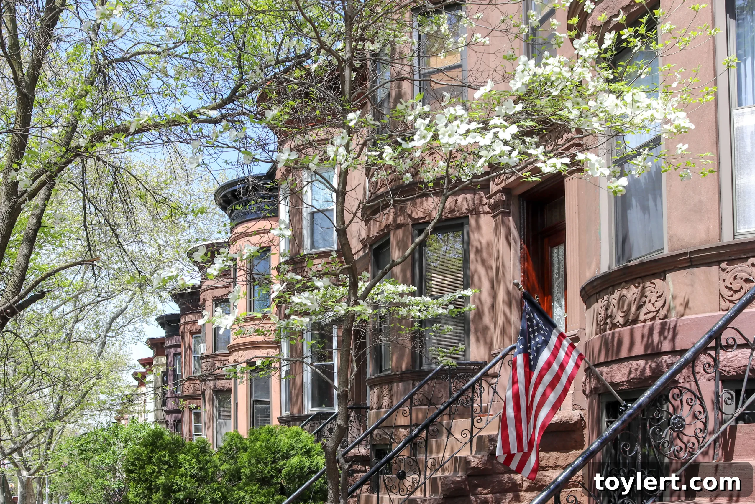 featured 357496 scaled