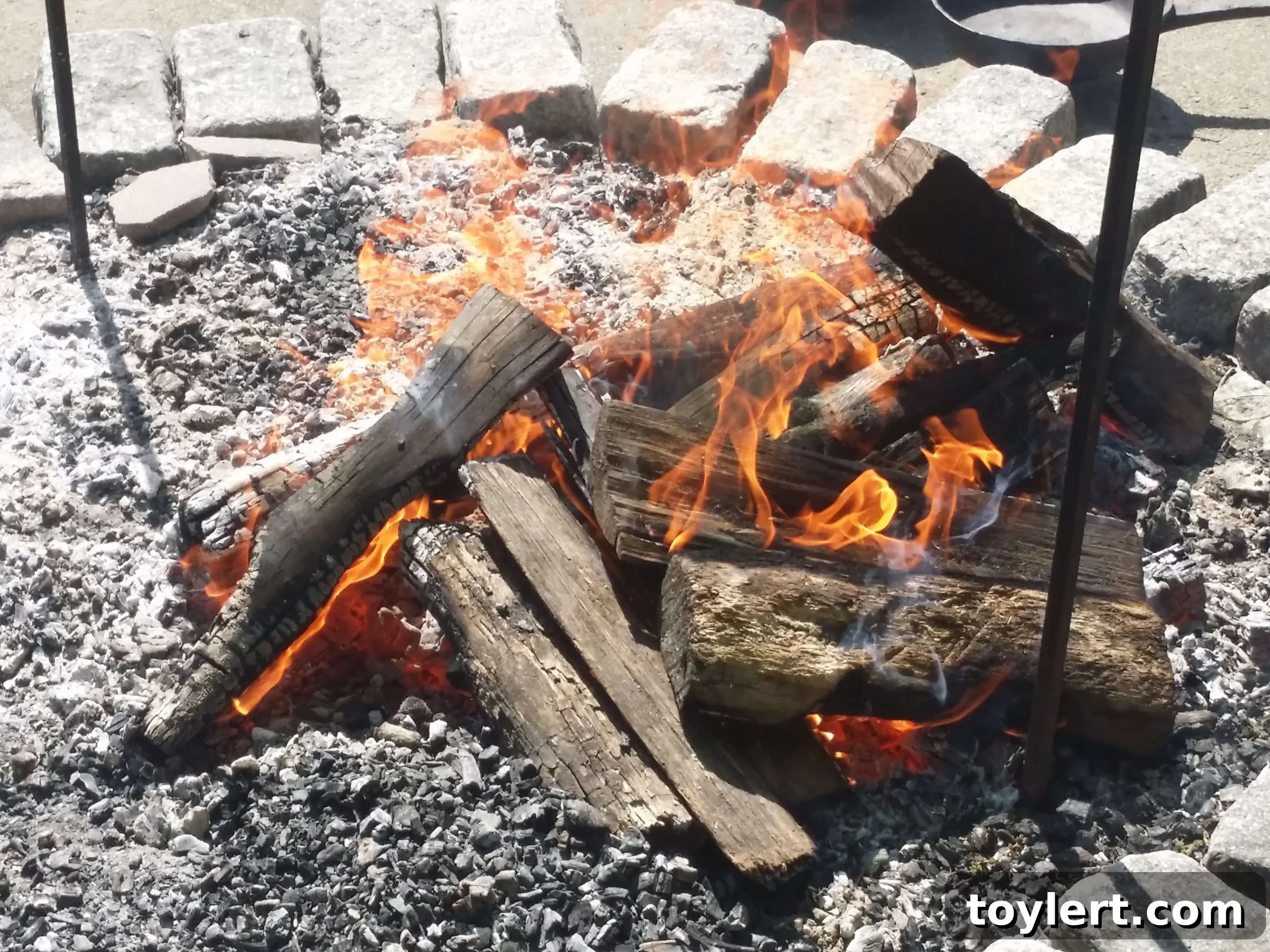 featured 361251 scaled