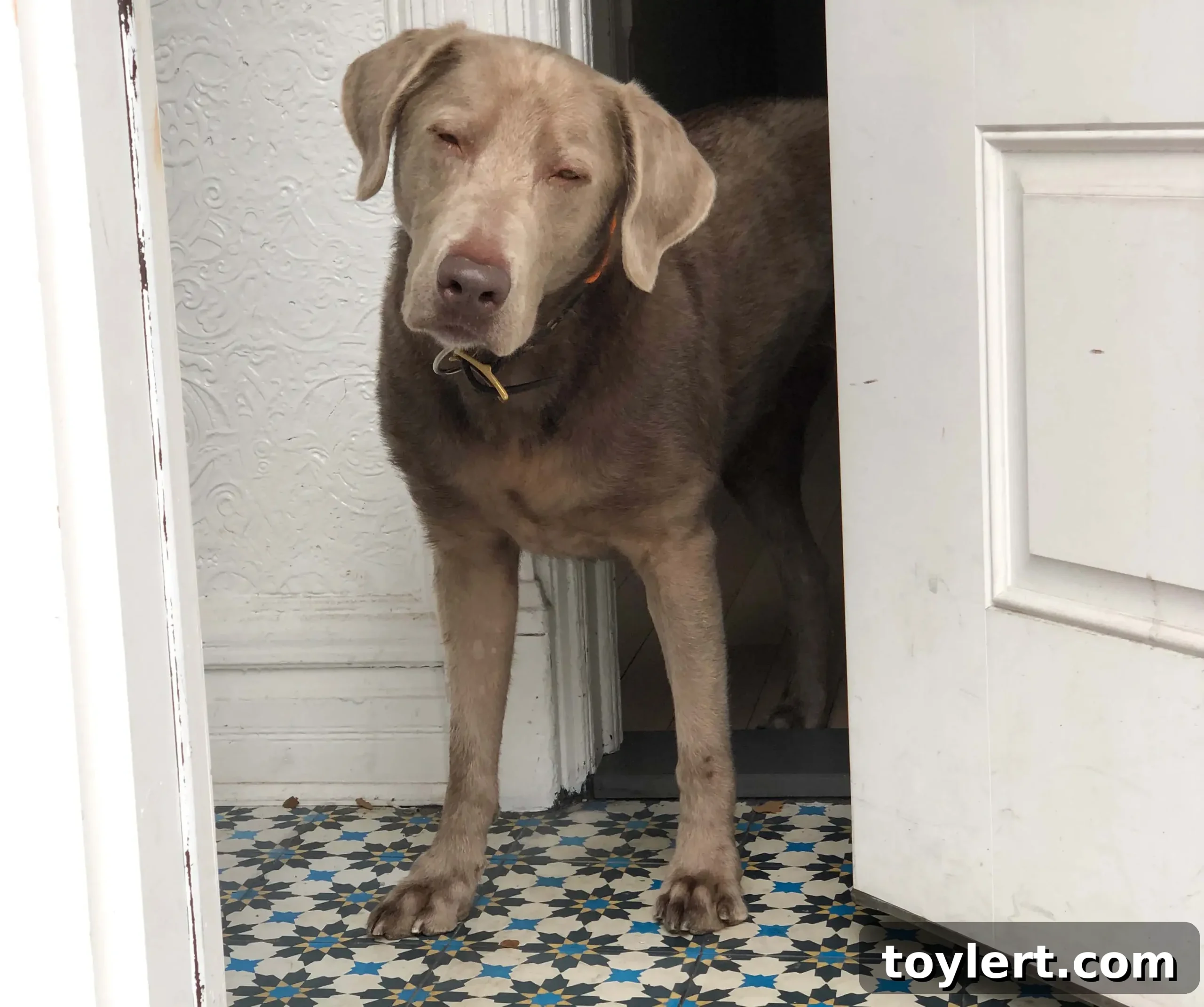 featured 362129 scaled