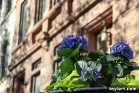 Greenpoint Ferry Landing Flood Strands Passengers