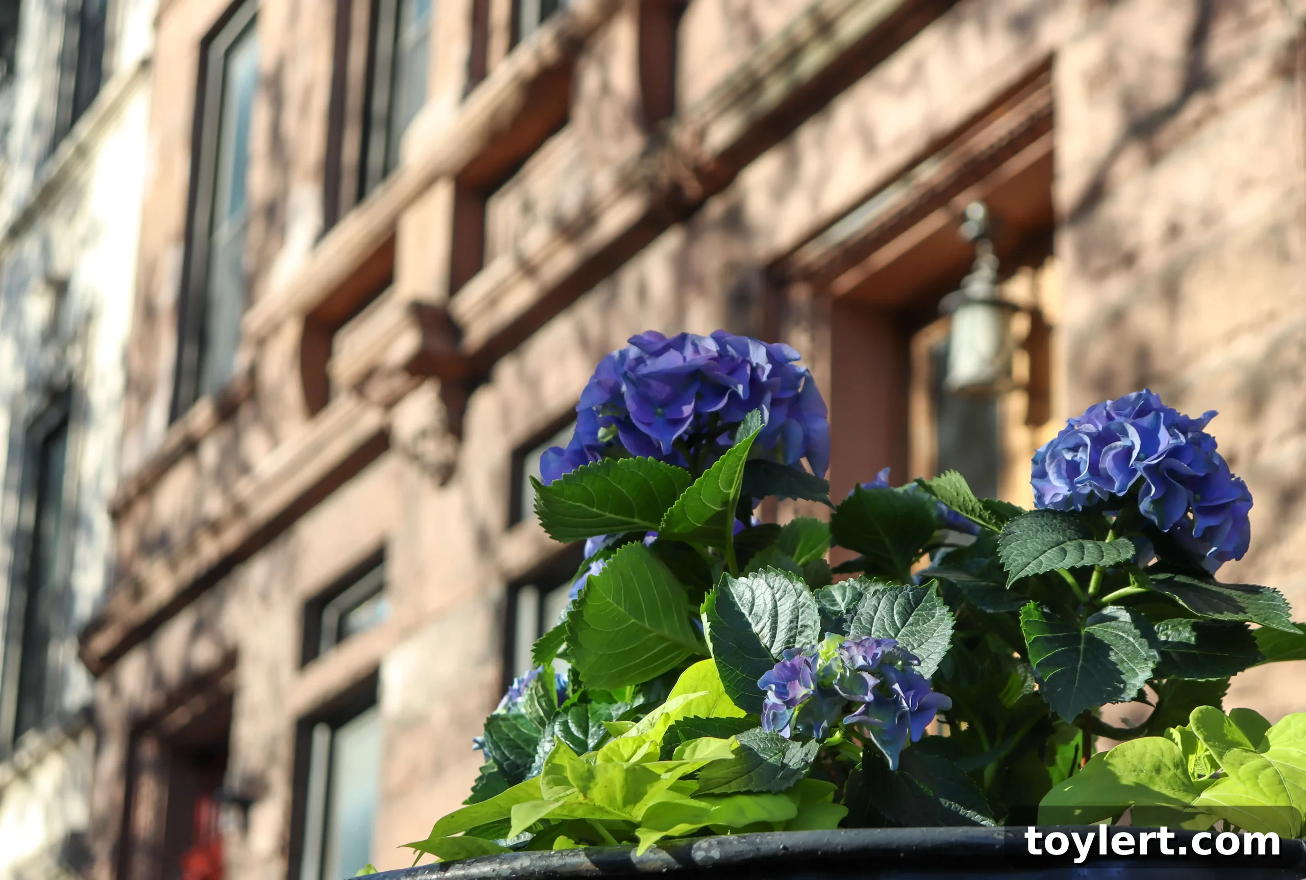 featured 362453 scaled