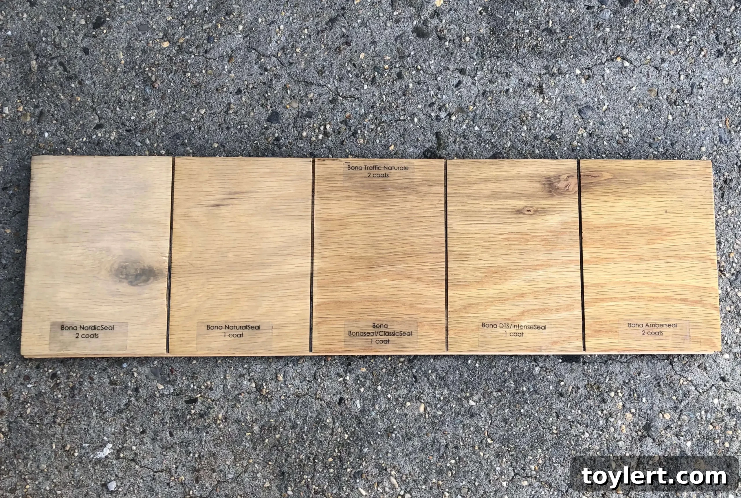 featured 364337 scaled