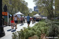 Brooklyn Book Festival Unites Sun and Stories