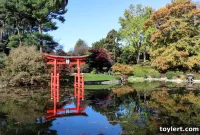 Churro Vendor’s Broadway Junction Arrest Triggers Viral Firestorm