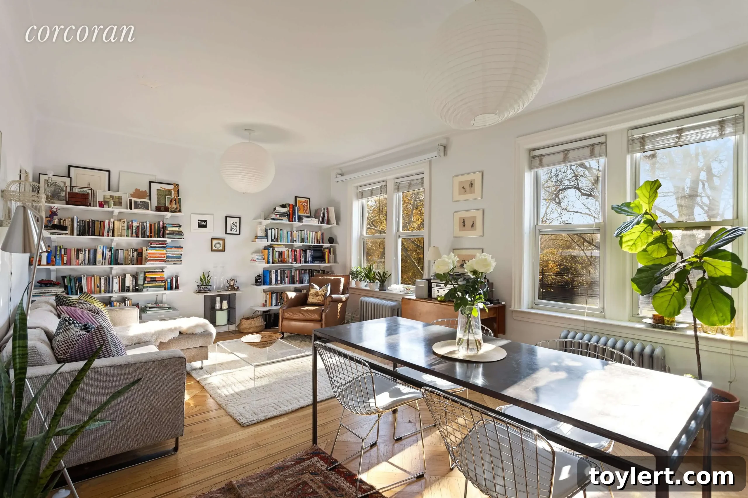 featured 378156 scaled