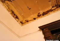 Making Your Neighbor Pay for Leak Damage