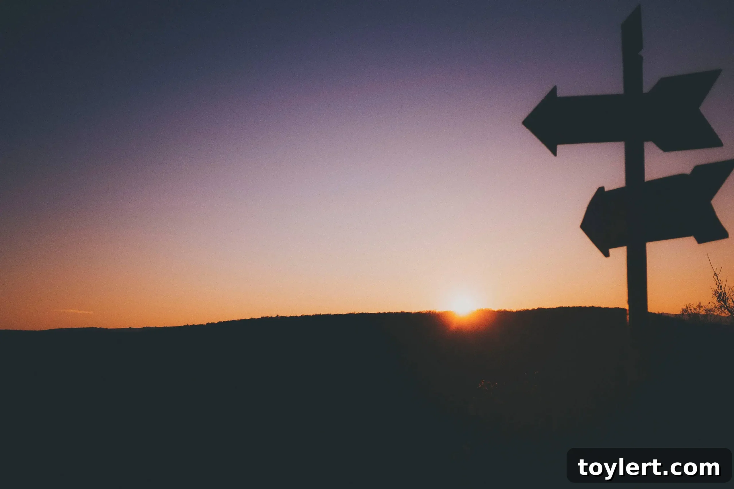 featured 380978 scaled