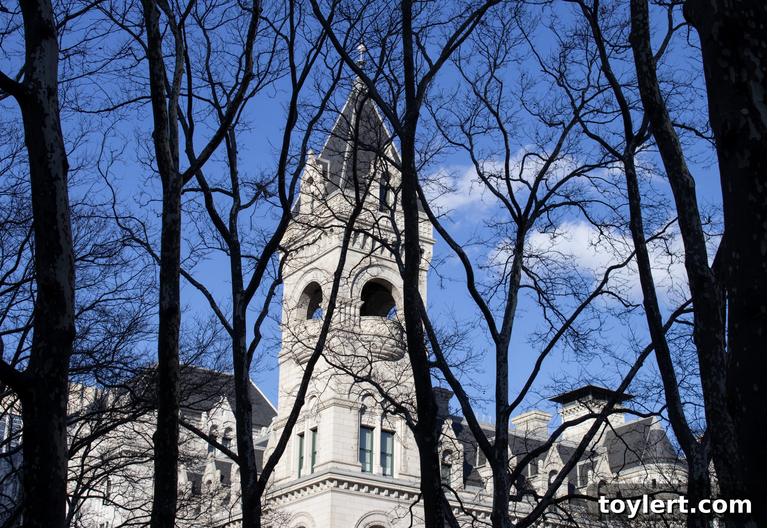 featured 387621 scaled