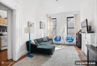 Boerum Hill Triple-Family Brownstone: A Historic Gem with Income Potential