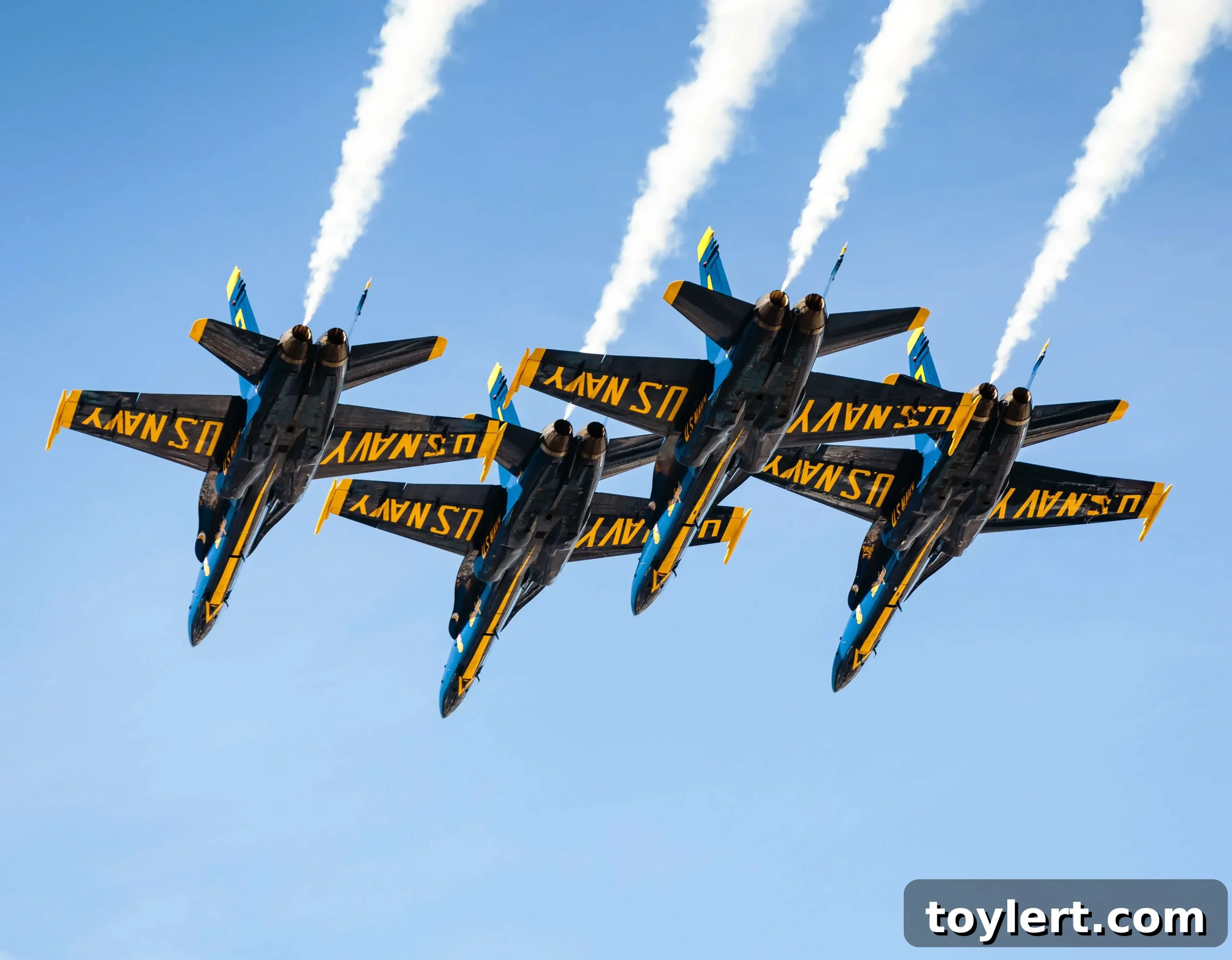 featured 394043 scaled