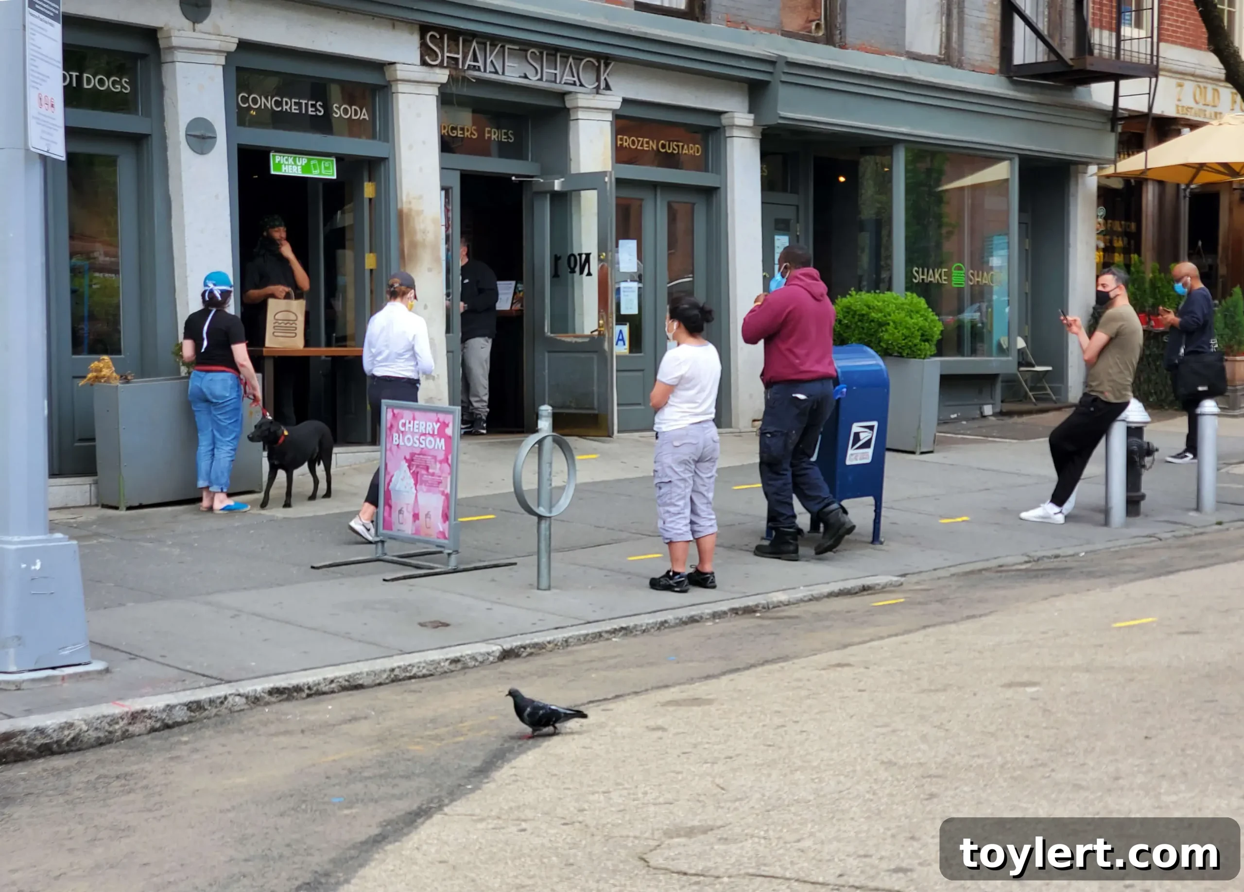 featured 396153 scaled