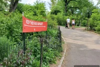 New York Bans Chokeholds Overhauls Housing Lottery System