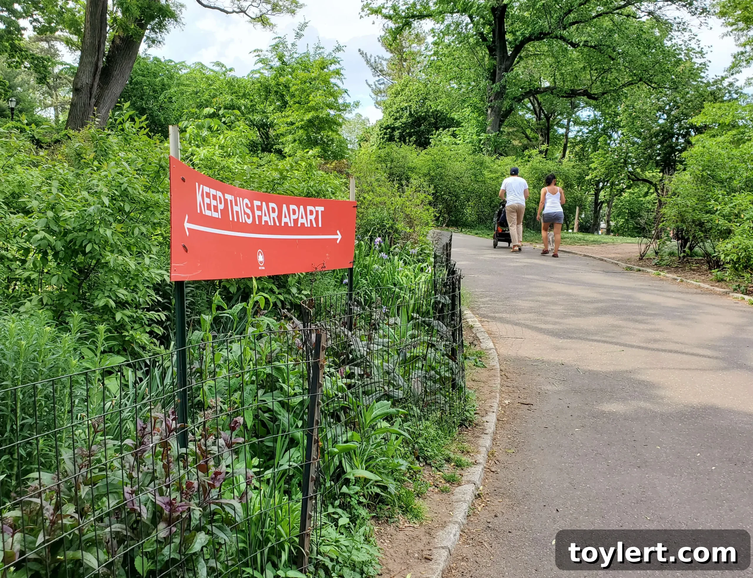 featured 398388 scaled