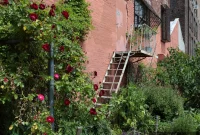 Brooklyn Arts Groups Welcome Protesters to Lobbies While City Playgrounds Remain Shut