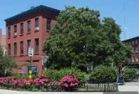 Daily Links: State Passes Chokehold Ban; CB1 Weighs Election Postponement Amid Pandemic