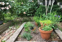 Your Garden Our Gallery