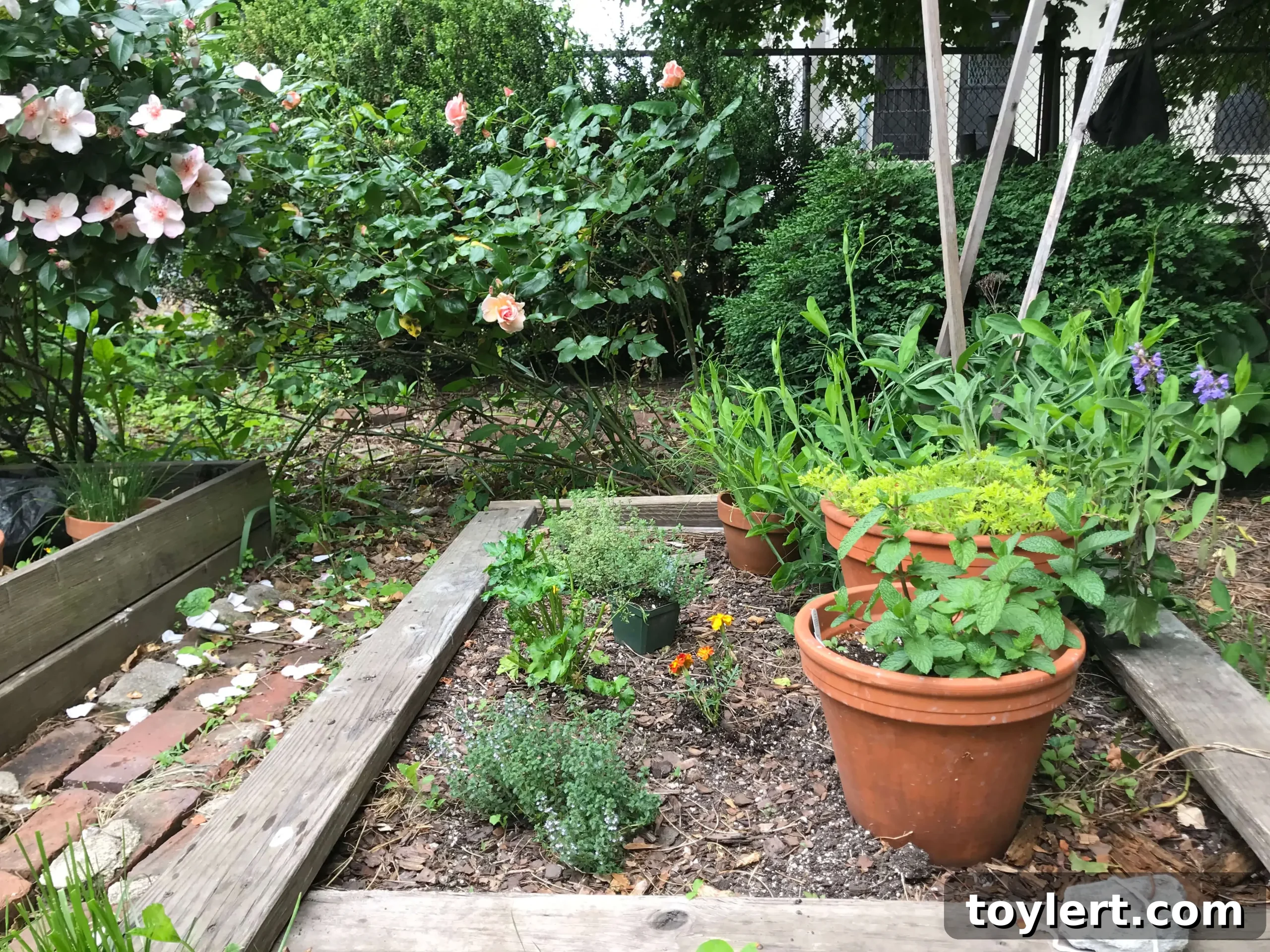 featured 398688 scaled