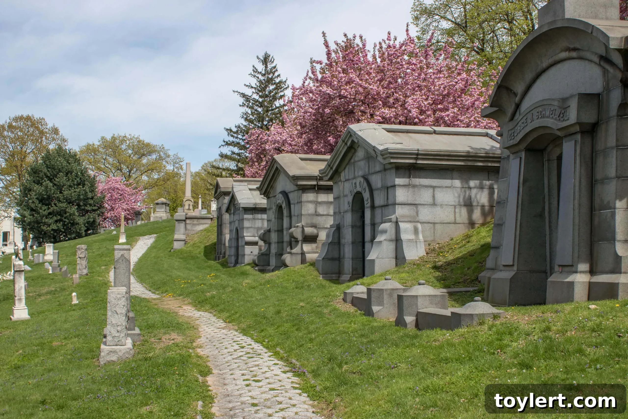 featured 401817 scaled