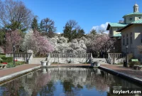 Brooklyn Botanic Garden Returns August 7 with Timed Entry