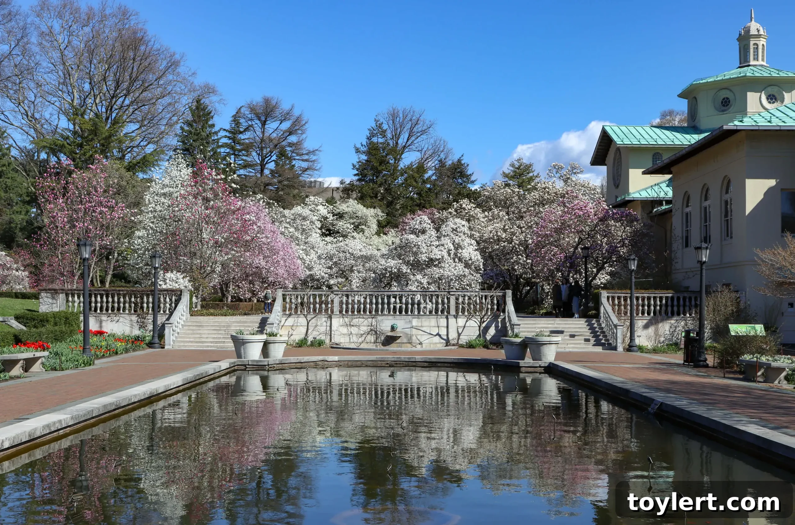 featured 402926 scaled