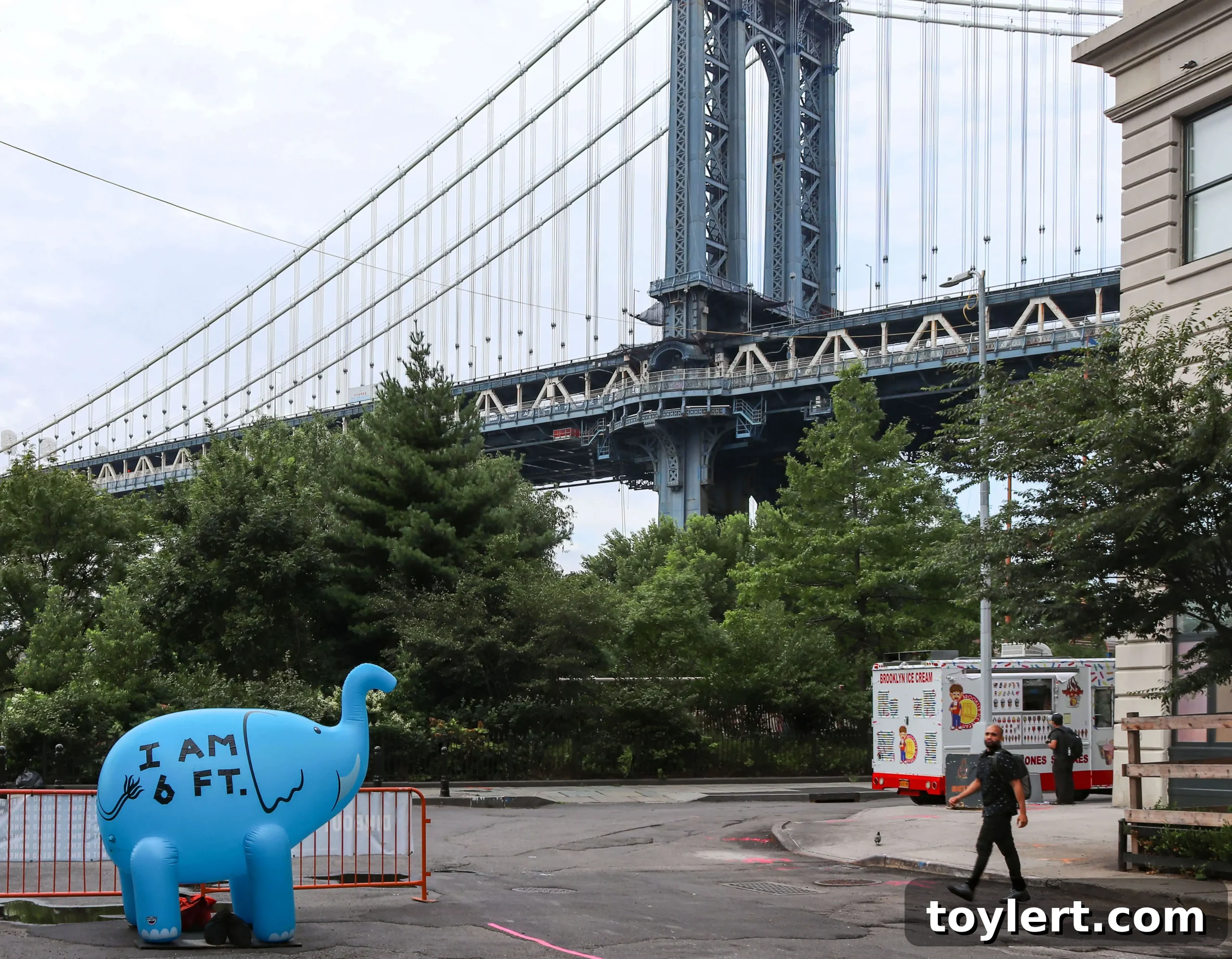 featured 404853 scaled