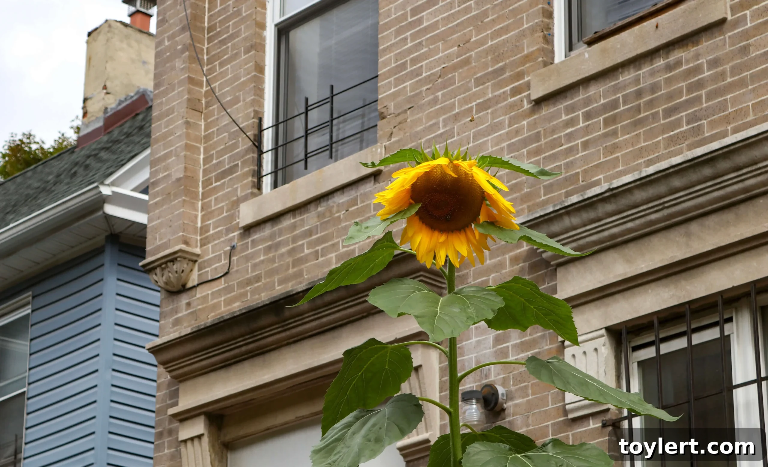 featured 408734 scaled