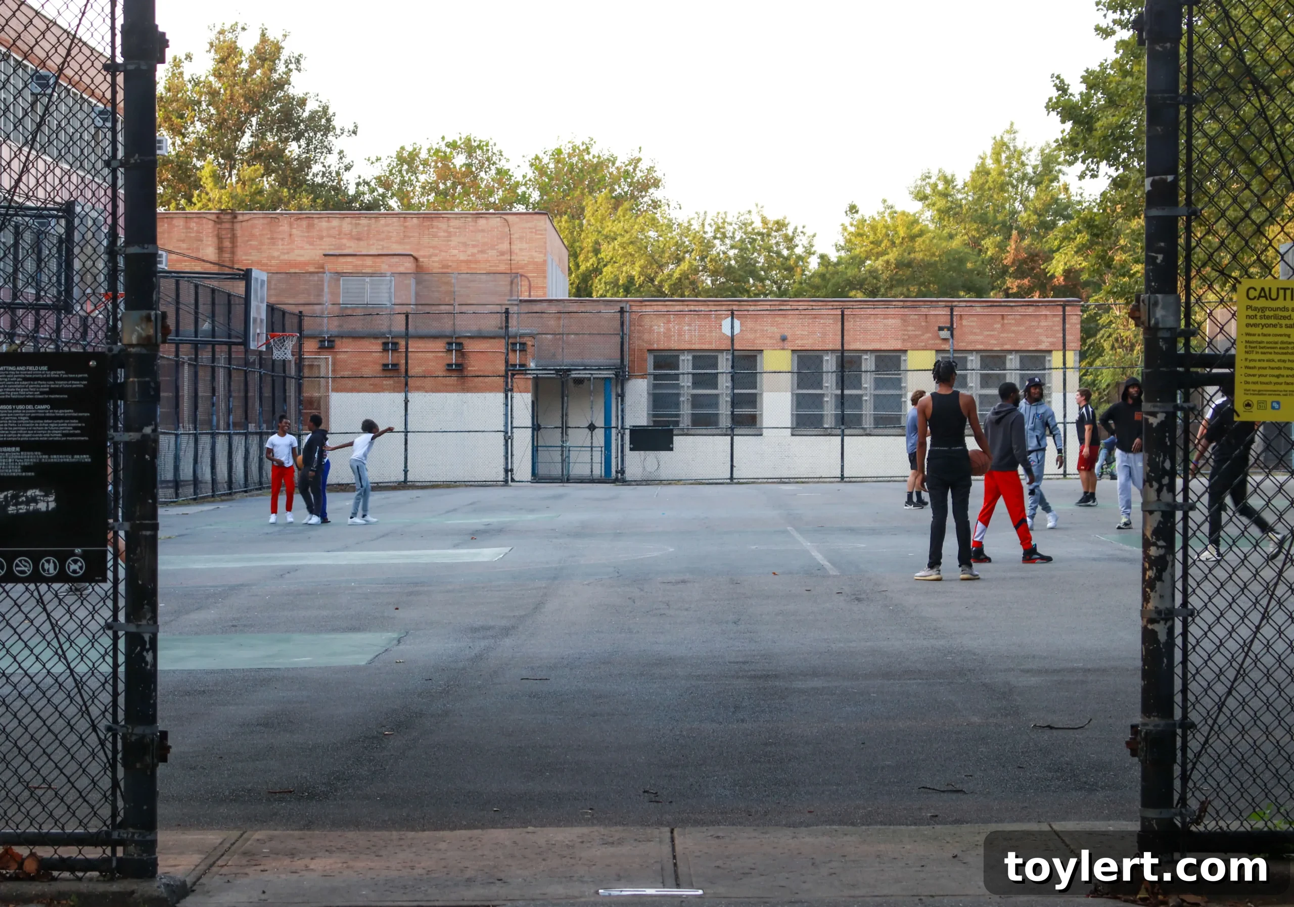 featured 409323 scaled