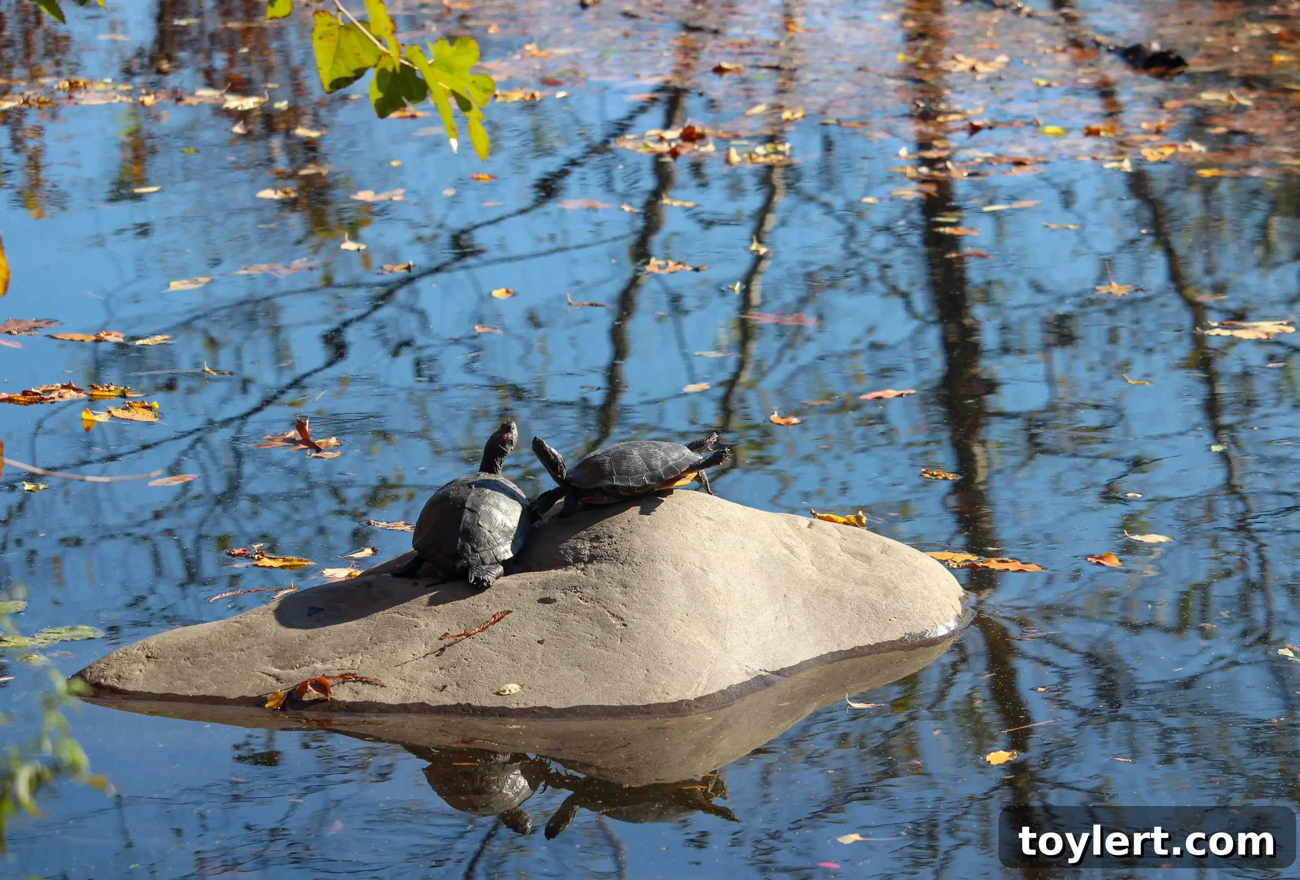 featured 414366 scaled